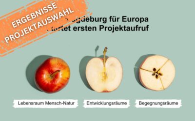 Erster Projektaufruf: Übersicht befürworteter Projekte
