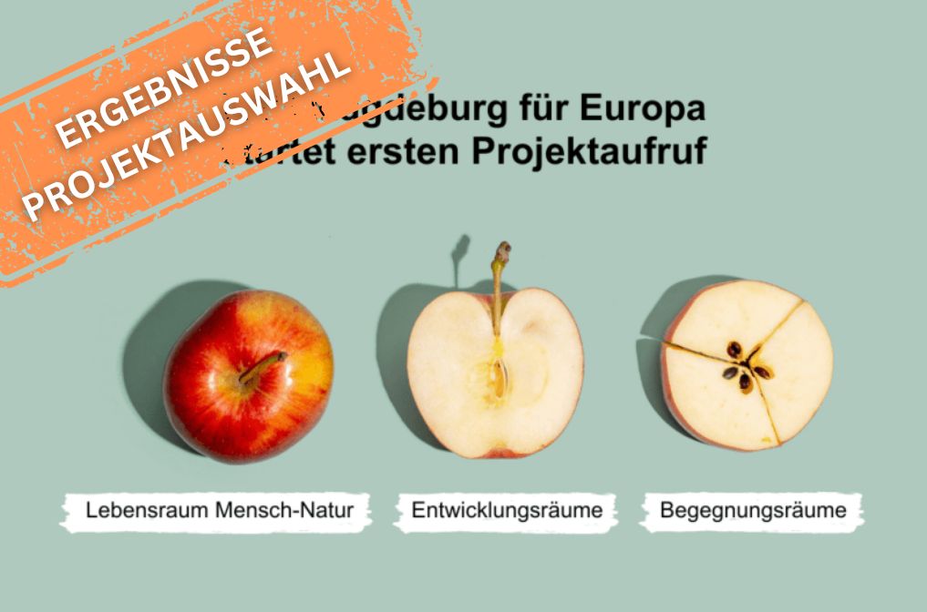 3 Äpfel vor mintfarbenem Hintergrund, darunter Text Lebensraum Mensch-Natur, Entwicklungsräume, Begegnungsräume; links oben weiße Schrift auf orangefarbenem Streifen Ergebnisse Projektauswahl 3 Äpfel vor mintfarbenem Hintergrund, darunter Text Lebensraum Mensch-Natur, Entwicklungsräume, Begegnungsräume; links oben weiße Schrift auf orangefarbenem Streifen Ergebnisse Projektauswahl