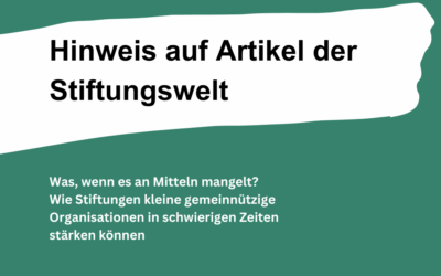 Stiftungswelt Artikel zu Finanzierungslücke und Stiftungen
