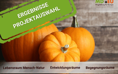 Dritter Projektaufruf: Übersicht befürworteter Projekte