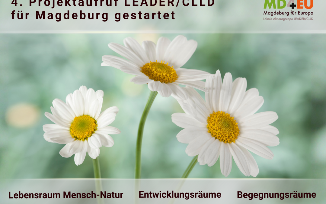 4. Projektaufruf ist gestartet