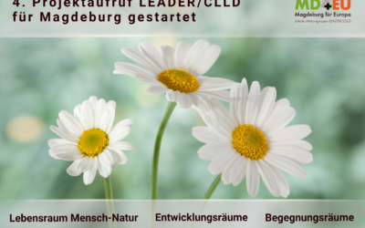 4. Projektaufruf ist gestartet