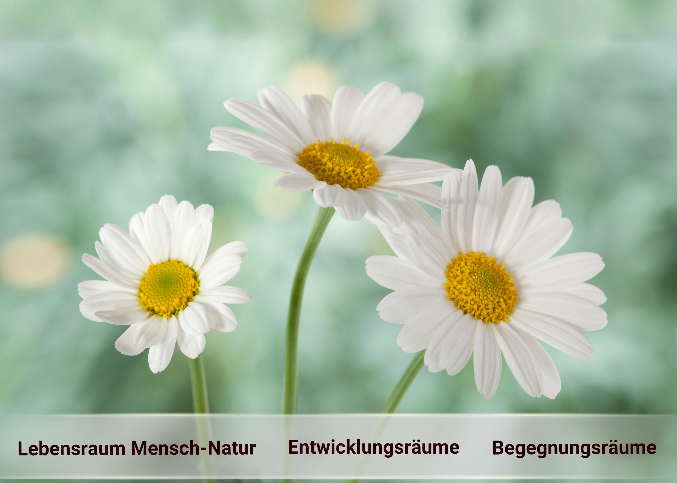 Kampagnenbild 3. Projektaufruf