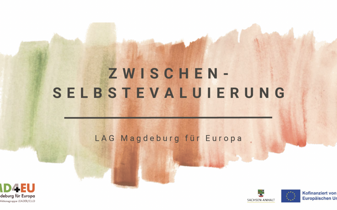 Zwischenevaluierung bestätigt erfolgreiche Entwicklung der LAG Magdeburg für Europa