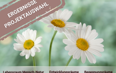 Vierter Projektaufruf: Übersicht befürworteter Projekte