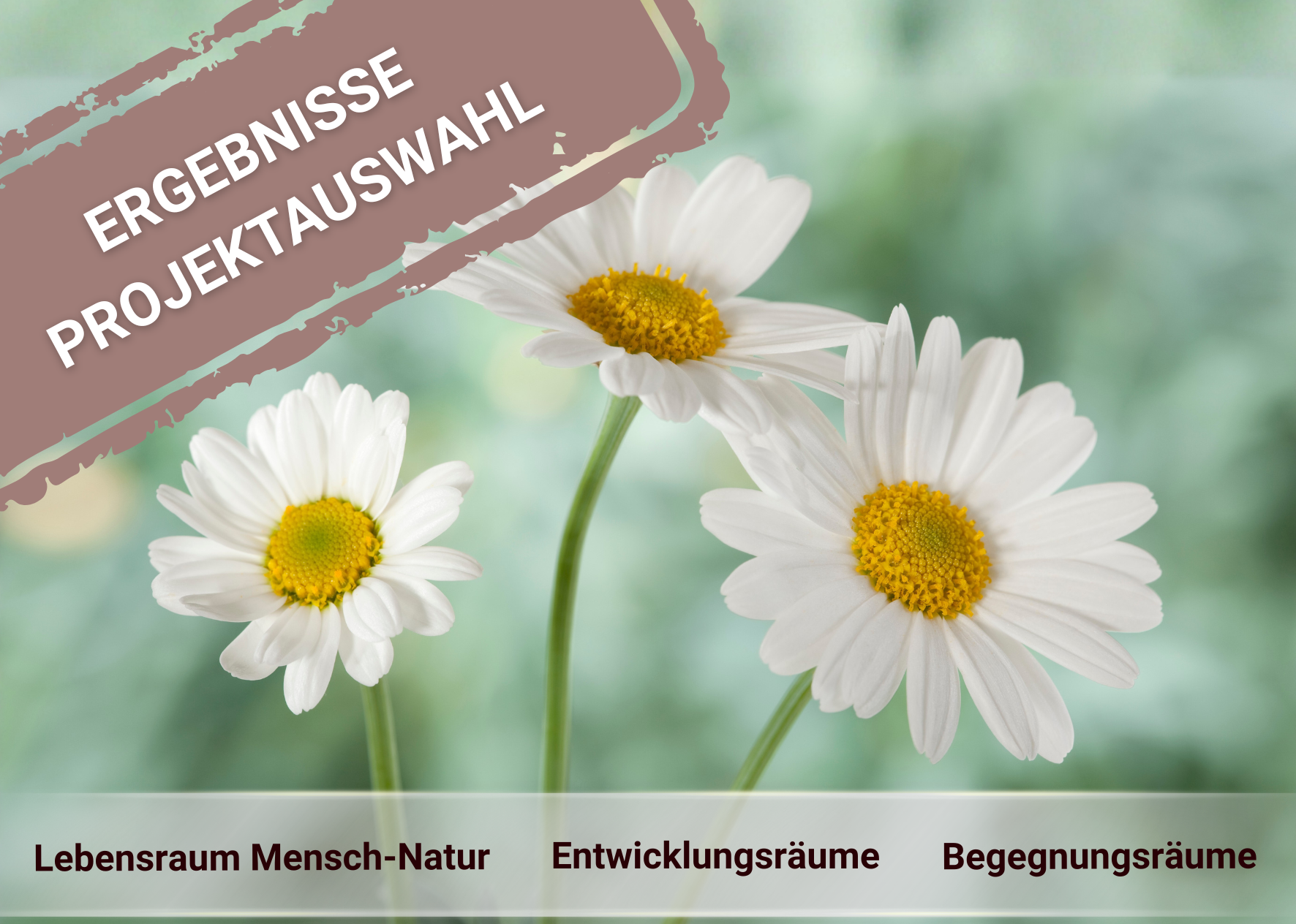 Befürwortete Projekte 4. Aufruf